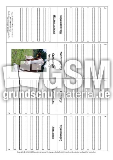Faltbuch-Hausrind.pdf